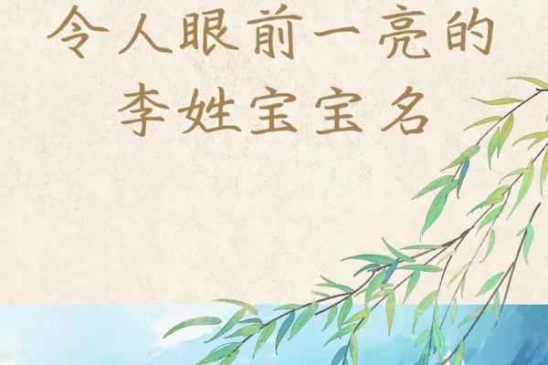 李姓宝宝取名灵感荟萃