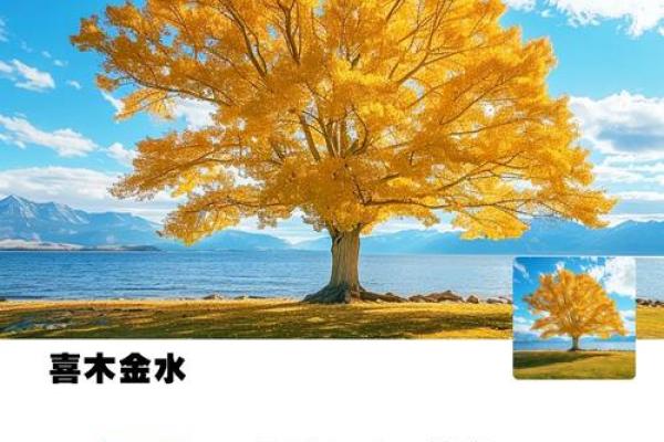 解析风水学中火的能量与家庭运势的关系
