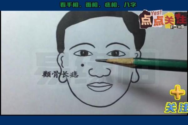 神秘面相揭秘：麻衣神相左痣有何特殊含义？