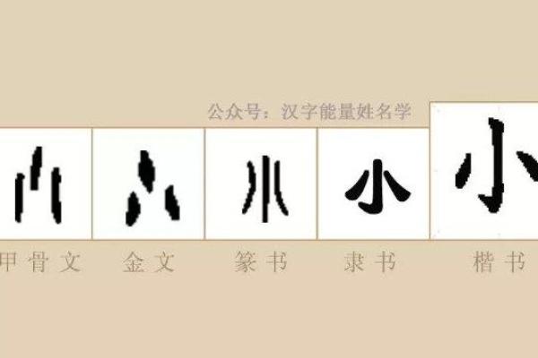 何舒婷:优雅与智慧并存的姓名之韵 何舒婷:优雅与智慧并存的姓名之韵