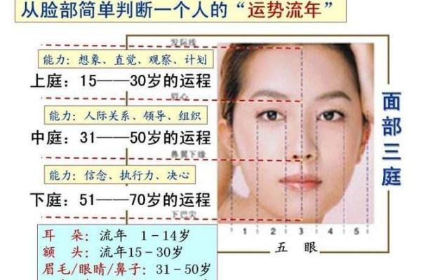 面相解码：初见即知的神秘魅力