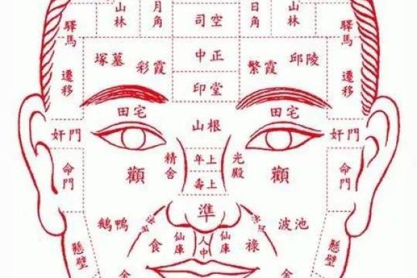面相解码：初见即知的神秘魅力