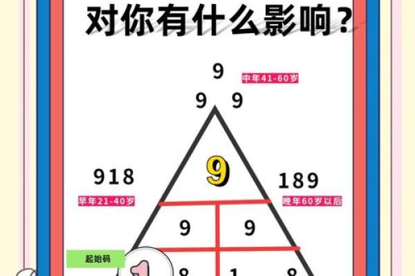掌中玄机，揭秘你的命运密码！