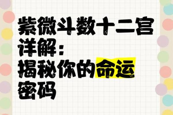 掌中玄机，揭秘你的命运密码！