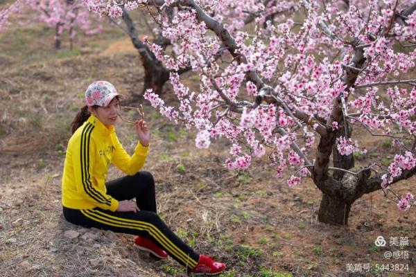 春风十里桃花开，民俗传承乐无边