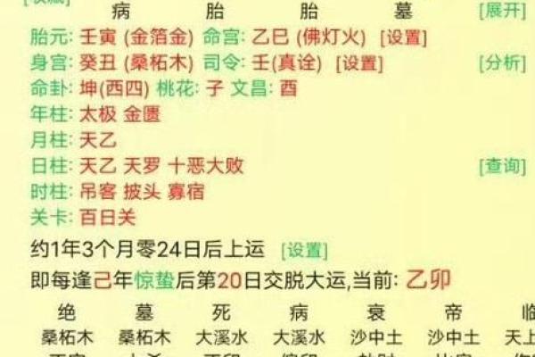 探讨丁巳日五行属火的命理特征