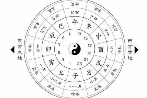 探索天罡地支掌中的五行玄机