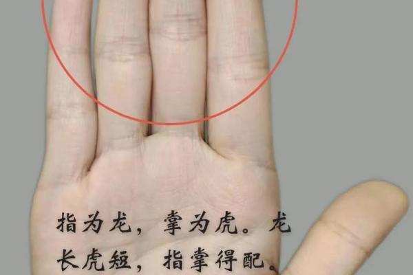 解锁坤宫手相：揭秘女性命运的神秘力量