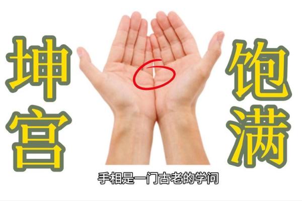 解锁坤宫手相：揭秘女性命运的神秘力量