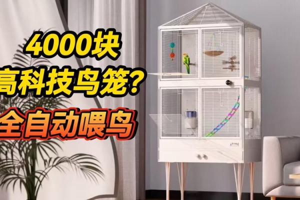 鸟笼风水布局，让你的财运翻倍增长！