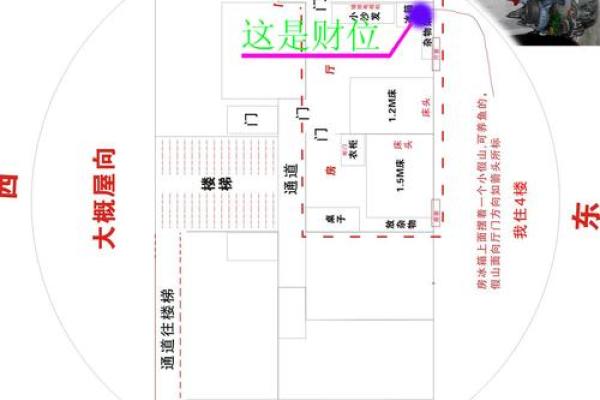 鸟笼风水布局，让你的财运翻倍增长！