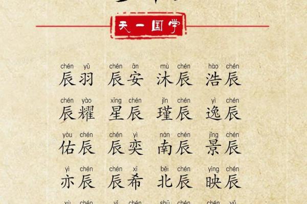 辰龙命理宝典：解锁你的财富密码，成就辉煌人生