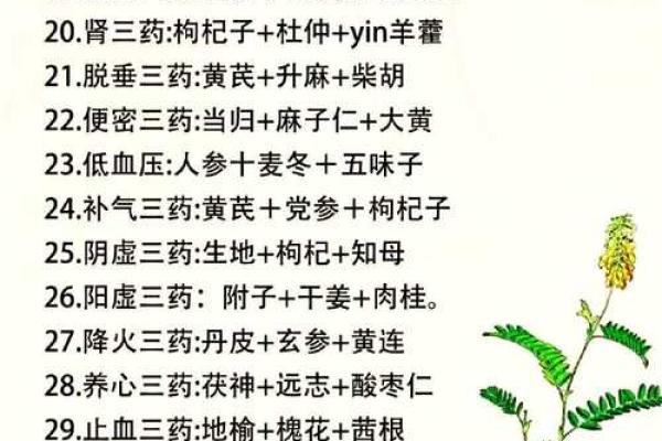 常见三字中草药的功效与应用