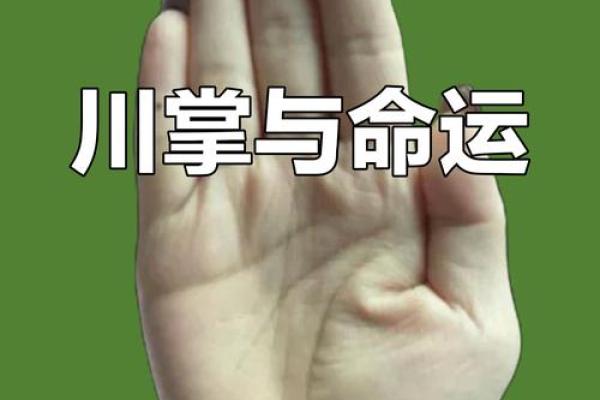 无靠之力，川手相的神秘解读，不可不知的运势秘密！