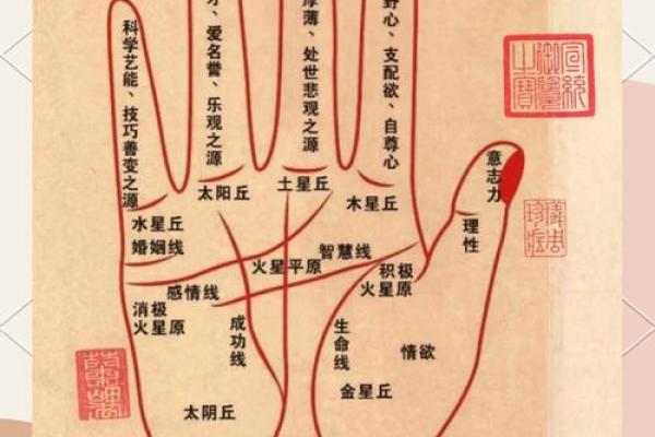 无靠之力，川手相的神秘解读，不可不知的运势秘密！