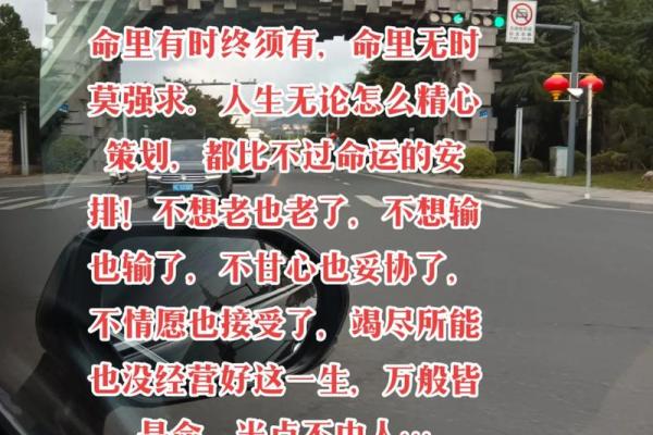 终南命理，揭秘人生起伏规律