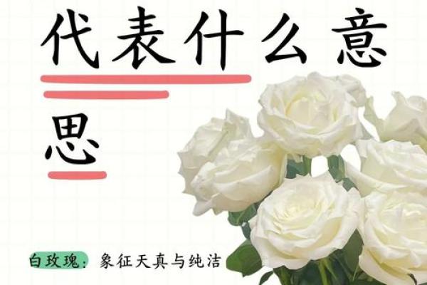 风水花语，爱情花中的神秘力量