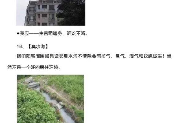 三碧煞气缠身？教你一招阳宅风水化解绝技