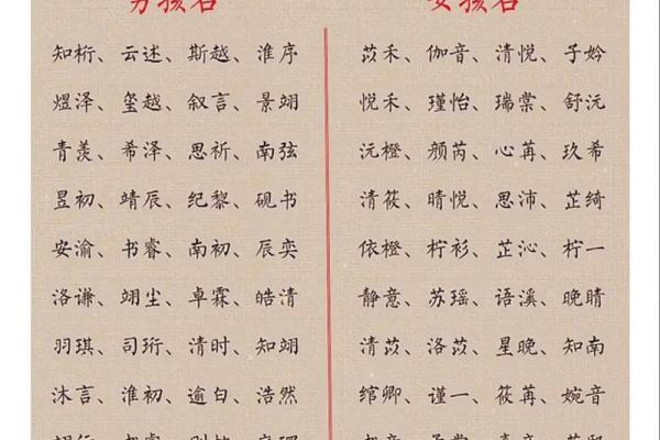 传统文化与命名艺术：为有文化的男孩选择合适的名字