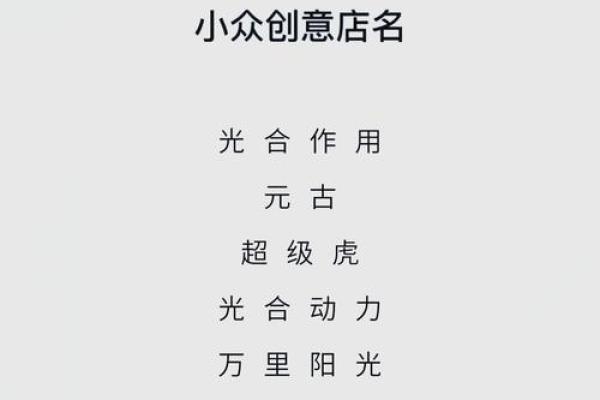 开公司起名字大全霸气之选，助你打造独特品牌形象