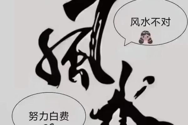 店铺风水宝地，桌摆布局，财运滚滚来