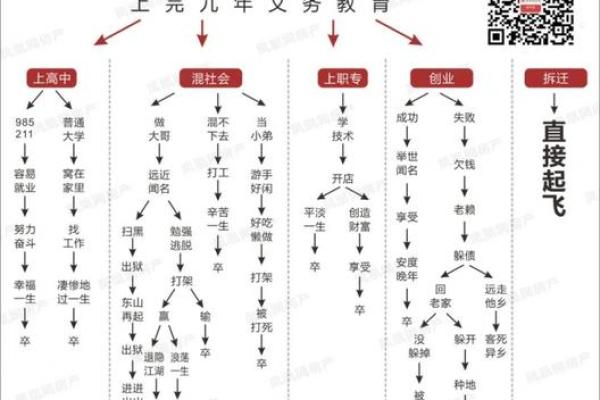 张泽华命理课：揭秘人生轨迹，教你如何转运改命！