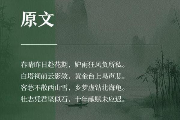 刘汐:月映星辰,汐起潮涌,名蕴诗意好运长 刘汐:月映星辰,汐起潮涌,名蕴诗意好运长