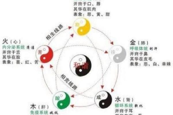 五行木的颜色与生活的关系