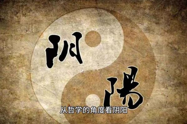 十二地支阴阳之道：探寻古老哲学的奥秘