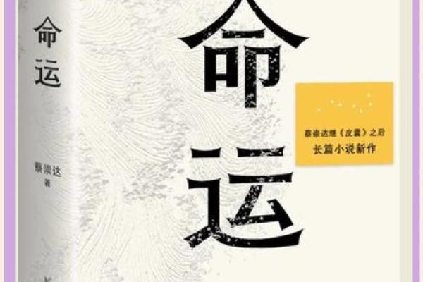 命运交汇点：三会命理，解锁人生奥秘