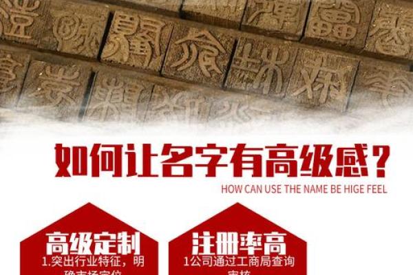 专业权威起名公司提供精准命名服务