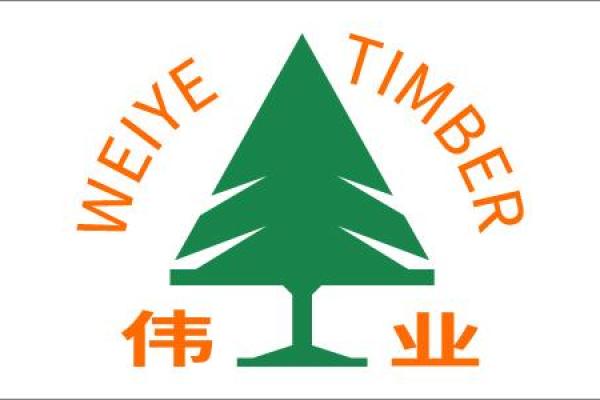 如何为伟公司起一个独特而有意义的名字