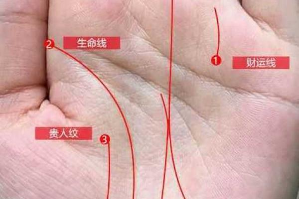 一掌在手，运势我有：手相预测学入门必备！