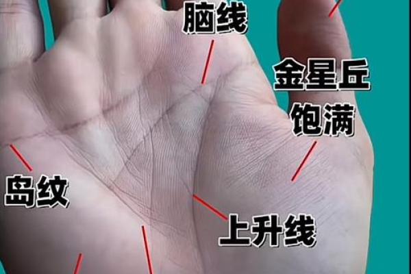 一掌在手，运势我有：手相预测学入门必备！