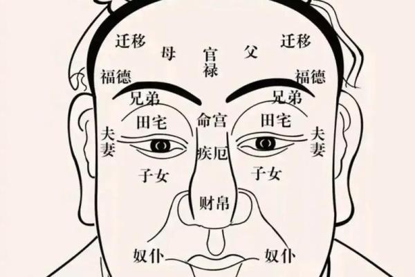 眼皮薄的男人面相：洞察人心的神秘符号