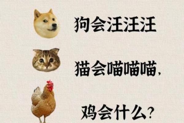 鸡宝宝起名避雷区：这些字绝不能碰