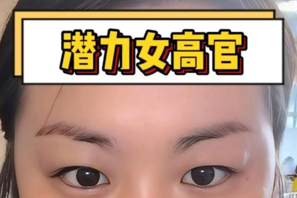 面相高官：揭秘权贵气质背后的神秘力量