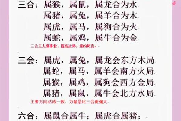 年月地支相合的奥秘与应用