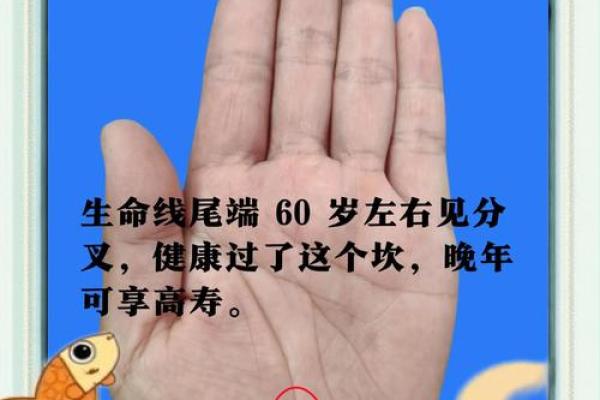 掌上风云录，手相解析人生轨迹！