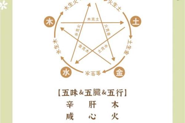 如何理解卯木的五行属性