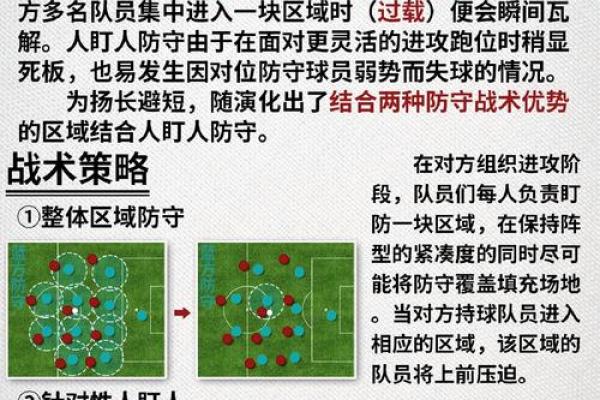 堡垒前线风水布局秘籍，助你轻松掌控战局