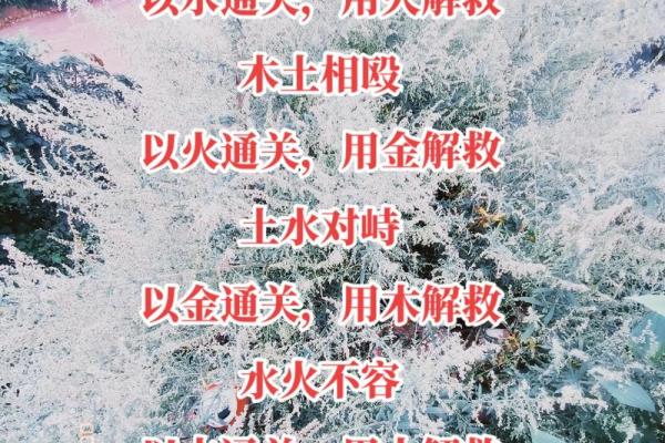 鸿五行与中华文化的深度融合