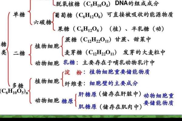 糖属于五行的哪个元素