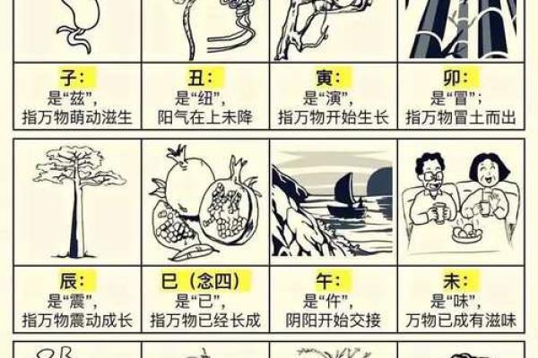 地支运气与人生命运的关系解析