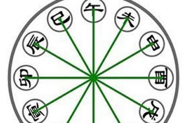地支运气与人生命运的关系解析