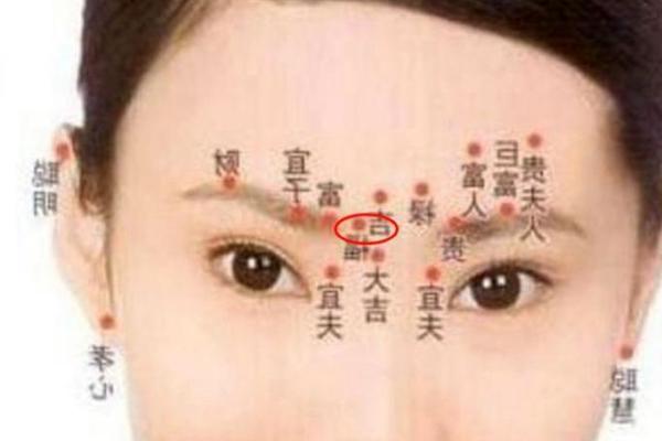 面相解码：富贵气韵一窥富贵面相视频揭秘