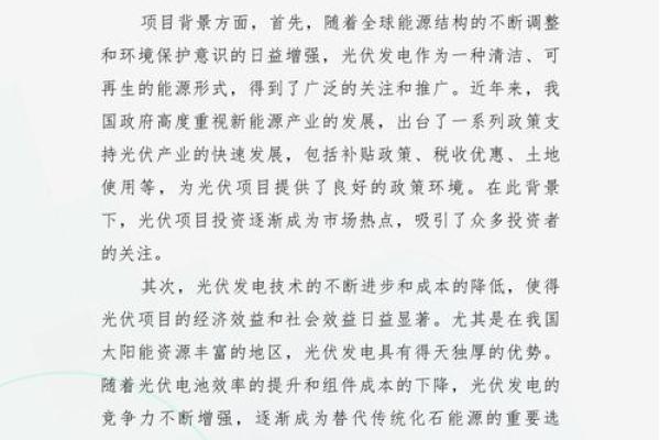 独特公司名称的魅力与风险分析
