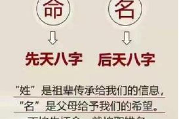 传统姓名文化的演变与传承