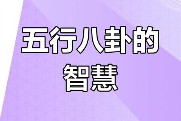 岚五行：解锁自然能量的奥秘