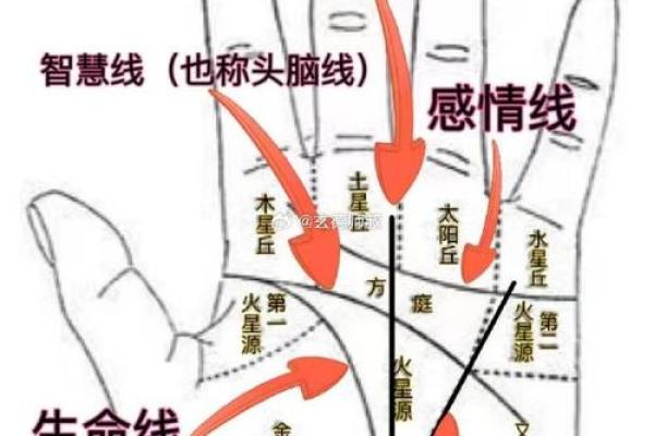 女性手相解析：掌握命运的秘密钥匙